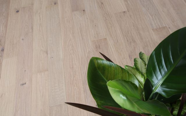 HS Oak (Deep White)