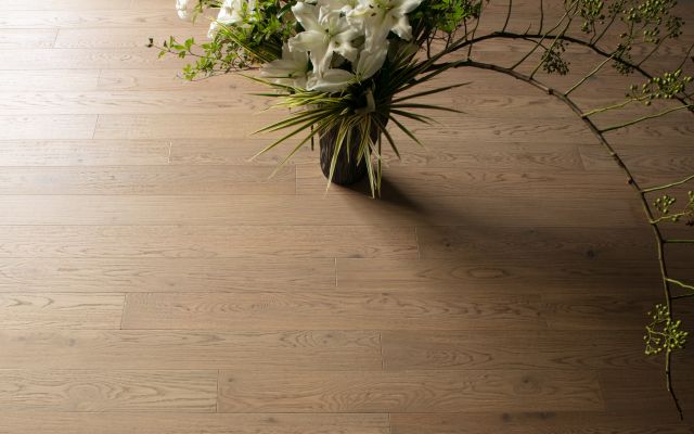 HS Oak (Iconic Beige)