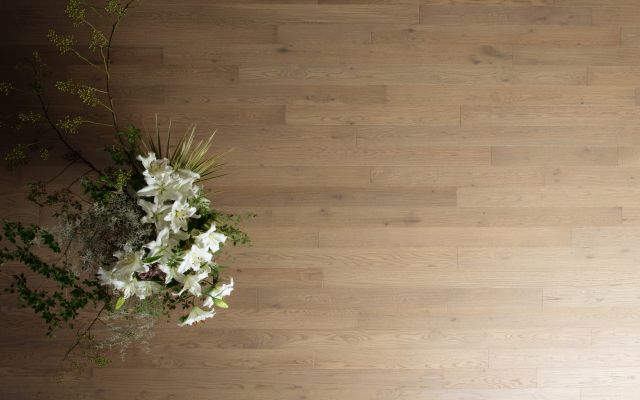 HS Oak (Iconic Beige)