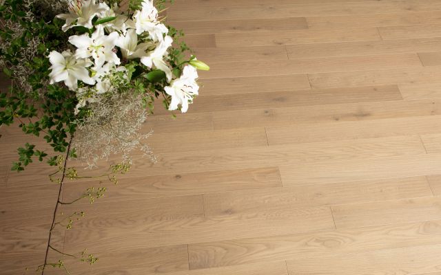 HS Oak (Iconic Beige)