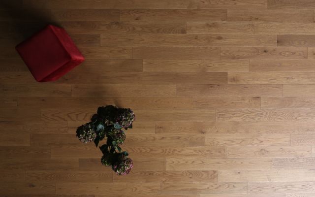 HS Oak (Soft Brown)