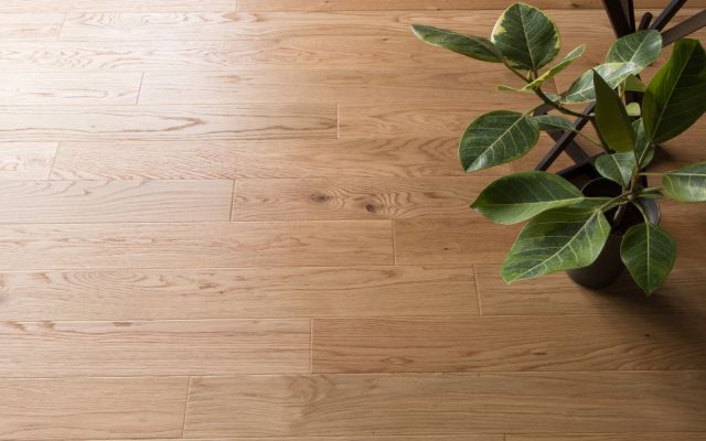 HS Oak (UV Mat)